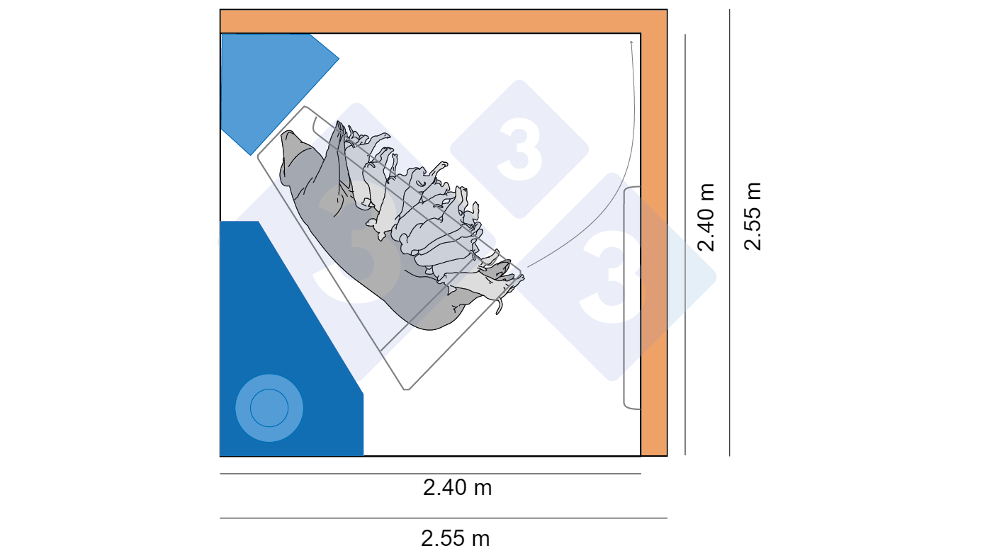 Sale parto in Danimarca