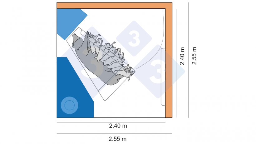 Figura 4. Le prime misure dei box&nbsp;in Danimarca erano 2,4 x 2,4 m, mentre i modelli pi&ugrave; recenti sono 2,55 x 2,55, consentendo pi&ugrave; spazio per figliate grandi e opzioni di movimento per la scrofa.
