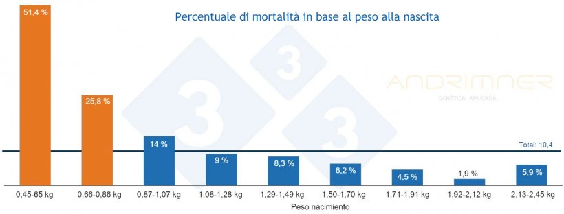 Grafico 3. Percentuale di mortalit&agrave; in base al peso alla nascita. Fonte: Javier Lorente. Allevamento commerciale, 3483 suinetti pesati individualmente nel 2021.
