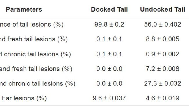 Tabella 2. Frequenza delle lesioni alla coda e alle orecchie (± errore standard) in relazione al mozzamento della coda: dati espressi come soggetti affetti/lotto.