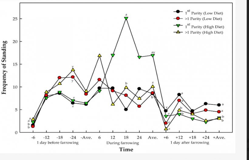 Figura 2. Frequenza di posizione quadrupedale delle scrofe a diversi livelli di dieta e parità, e loro interazioni. lettere ab, yz con apici diversi all'interno di un tempo indicano una differenza significativa; ab rappresentano gli effetti della dieta; yz rappresentano gli effetti del numero di parità delle scrofe.