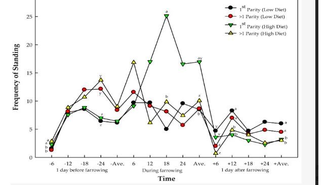 Figura 2. Frequenza di posizione quadrupedale delle scrofe a diversi livelli di dieta e parità, e loro interazioni. lettere ab, yz con apici diversi all'interno di un tempo indicano una differenza significativa; ab rappresentano gli effetti della dieta; yz rappresentano gli effetti del numero di parità delle scrofe.