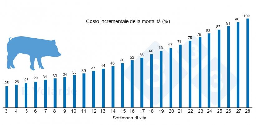 Figura 1. Costo incrementale della mortalit&agrave; in base alla settimana di vita. Fonte: Velarde (2023).

