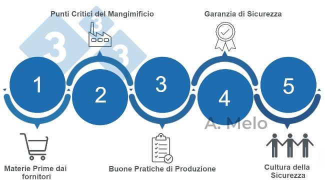 Figura 1. Le cinque chiavi per raggiungere la sicurezza nei mangimi bilanciati.