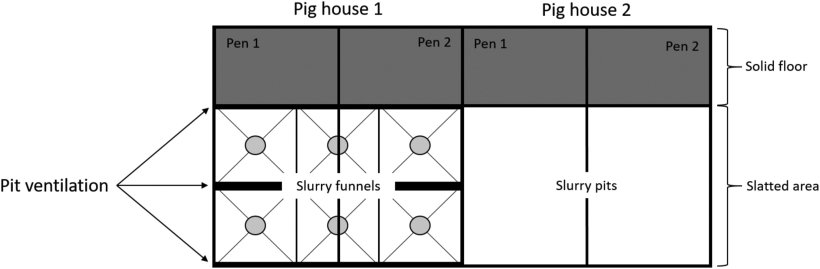 Fig. 1. Disegno schematico di allevamenti sperimentali utilizzati per studiare l'effetto di un sistema ad imbuto per liquame con ventilazione parziale integrata della fossa (reparto 1) rispetto ad un controllo (reparto 2) con una fossa per liquame sotto l'area fessurata.