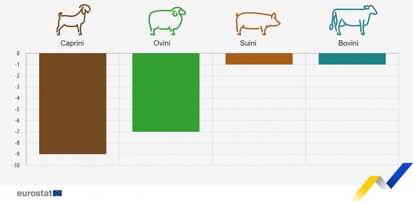 Figura 1. Variazione prevista nella produzione animale dell&#39;UE, periodi selezionati dal 2024 al 2023. Capre, pecore e bovini, seconda met&agrave; del 2024 rispetto alla seconda met&agrave; del 2023. Suini, quarto trimestre del 2024 rispetto al quarto trimestre del 2023. Fonte: Europa Commissione.
