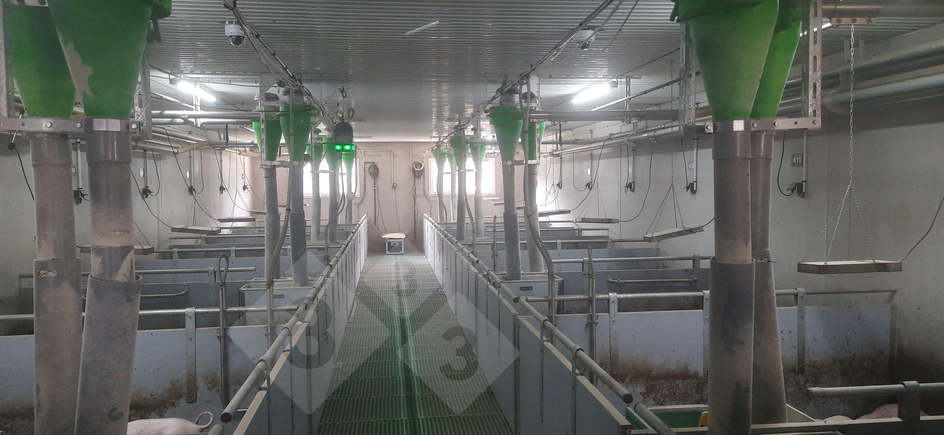 Dispositivo per la localizzazione dei suini senza taglio coda.