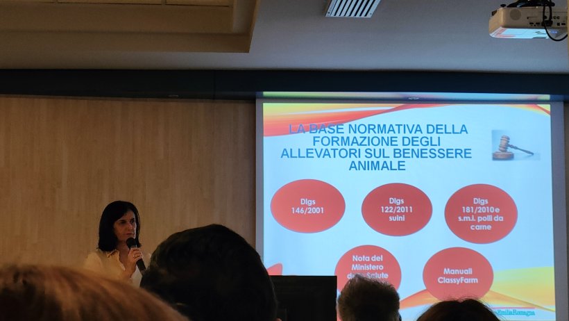 Corso di formazione Benessere nei Suini ai formatori 3