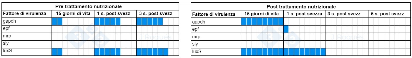 Evoluzione dei fattori di virulenza rilevati nello Streptococcus suis dopo lincorporazione di SCFA e MCFA.