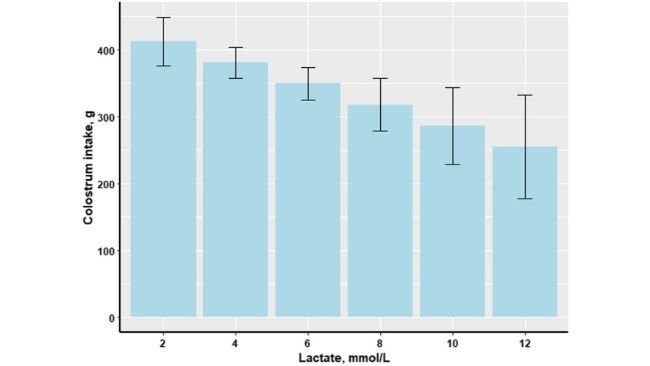 Effetto della concentrazione di lattato nel sangue dei suinetti (mmol/L) alla nascita sull'assunzione di colostro (g) dei suinetti (n = 176).