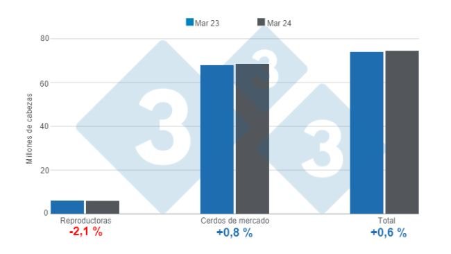 Grafico 1. Inventario dei suini negli Stati Uniti con cut-off al 1 marzo 2024, variazioni annuali. Preparato dal Dipartimento di Economia e Market Intelligence di 333 America Latina con dati USDA - NASS.