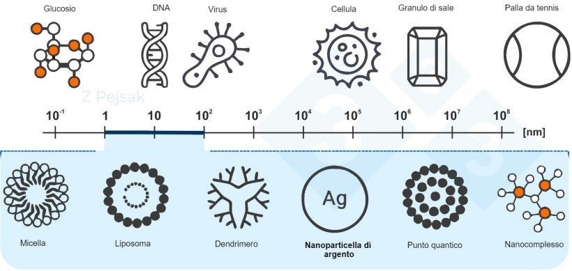 Figura 2. Scala nanometrica
