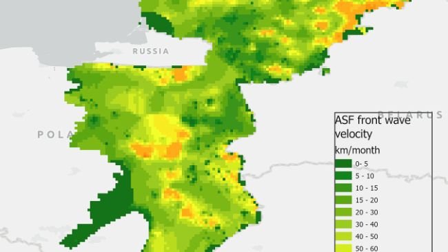 Figura 3. Velocità prevista dell'onda anteriore della PSA nei cinghiali (km/mese) durante il periodo da gennaio 2014 a gennaio 2022. I colori verdi rappresentano una velocità inferiore, mentre i colori rossi rappresentano una velocità maggiore della velocità prevista dell'onda anteriore della PSA nei cinghiali.
