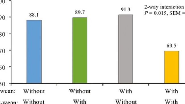 Interazione della polvere sensoriale pre-svezzamento x della polvere sensoriale post-svezzamento sulla percentuale di suini che hanno perso peso dallo svezzamento al giorno 3. Non è stata osservata alcuna interazione bidirezionale dallo svezzamento al giorno 7 (P > 0,10).