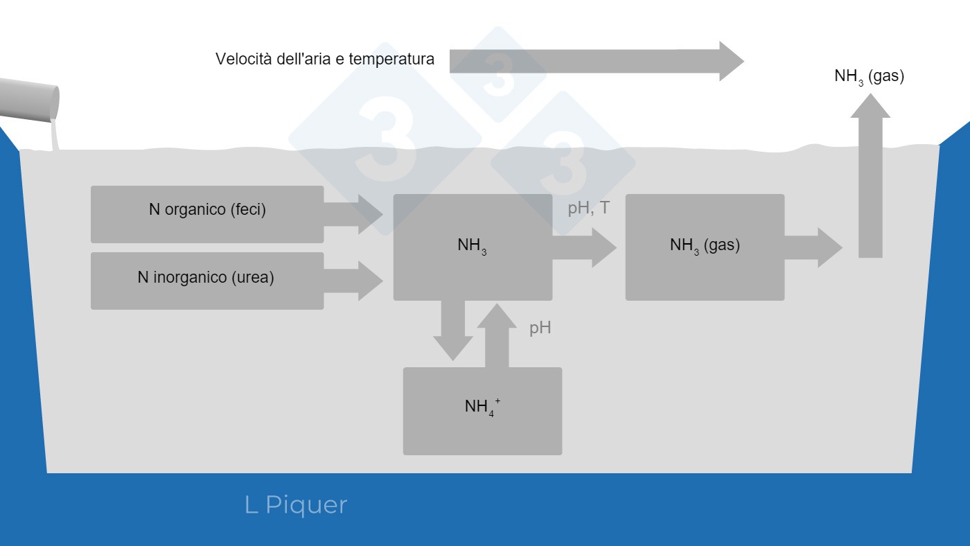 Ciclo di formazione dellammoniaca (NH3) durante lo stoccaggio dei liquami.