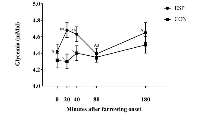 Fig. 1. Curve glicemiche dei gruppi ESP (n = 95, scrofe alimentate con un supplemento energetico all'inizio del parto) e CON (n = 85, femmine non alimentate). Le misurazioni sono state effettuate all'inizio del parto (T0), 20 (T20), 40 (T40), 80 (T80) e 180 (T180) minuti dopo la prima misurazione. I dati sono presentati come media ± SEM. Diverse lettere maiuscole indicano differenze statistiche (P