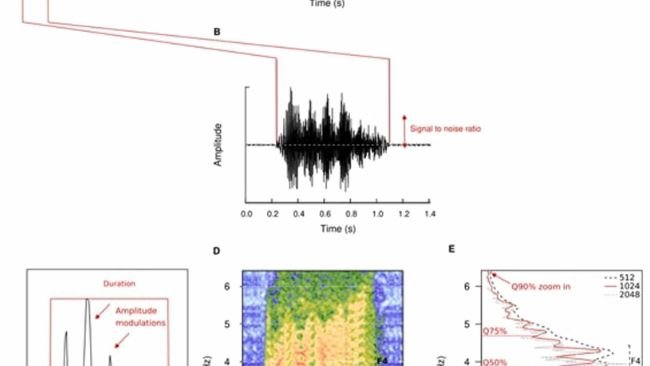 Fig. 1. Descrizione del comportamento vocale (A) e della struttura della vocalizzazione (B-E), e aspetti di durata e frequenza.