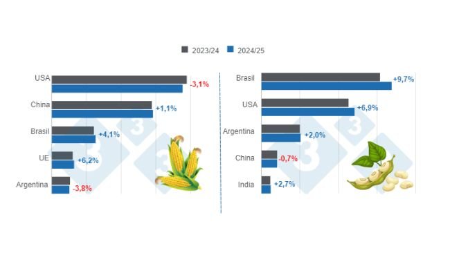 Grafico 1. Proiezione del raccolto per i principali produttori mondiali di mais e soia - Campagna 2024/25 rispetto al ciclo 2023/24. Preparato dal Dipartimento di Economia e Market Intelligence con dati FAS – USDA.