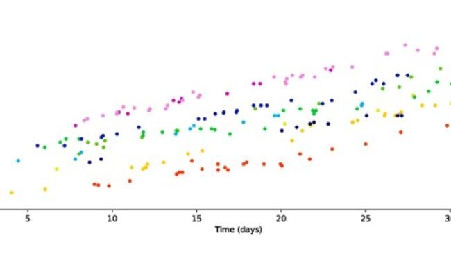 Fig. 1. Un esempio di una serie temporale simulata a livello di gruppo composta da dati di peso per 10 suini utilizzando una frequenza di campionamento di 1,0. Ogni colore rappresenta i dati per un suino diverso.