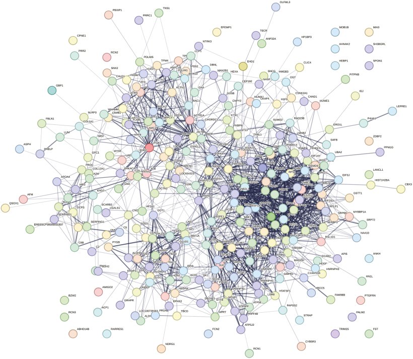 Figura 5. Associazioni proteina-proteina di 330 proteine ​​ovariche alterate in HS rispetto a scrofette PF rappresentate come una rete web mediante analisi STRING GO. I nodi della rete rappresentano le proteine, con nodi colorati che indicano il primo anello di interazione&nbsp;e nodi bianchi che indicano il secondo anello&nbsp;di interazione. I nodi vuoti illustrano proteine ​​con struttura 3D sconosciuta e nodi pieni rappresentano una struttura 3D nota o prevista. I bordi rappresentano associazioni proteina-proteina tra nodi e illustrano proteine ​​con una funzione condivisa. Bordi azzurri = interazioni note curate da database, bordi rosa chiaro = interazioni note determinate sperimentalmente, bordi verdi = interazioni previste dal prossimit&agrave; genica, bordi arancioni = interazioni previste con fusioni geniche e bordi blu navy = interazioni previste con co-occorrenza genica. P &le; 0,05.
