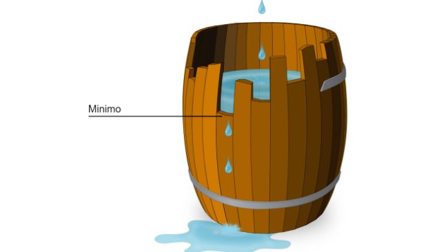 Figura 1. Esempio grafico del significato di un amminoacido limitante basato sulla legge di Liebig. La proteina &egrave; il barile e gli amminoacidi sono le singole doghe che compongono il barile. La capacit&agrave; della botte &egrave; limitata dalla doga pi&ugrave; corta, proprio come la crescita del suino&nbsp;&egrave; limitata dall'amminoacido meno disponibile.
