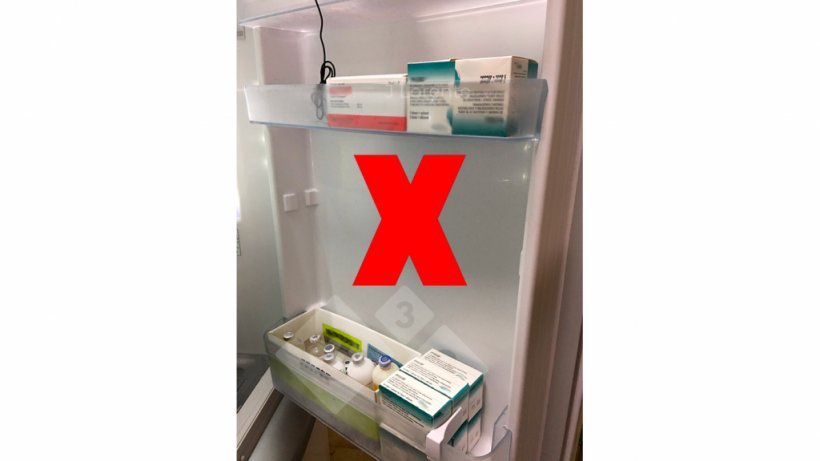 Figura 1. Vaccini sulla porta del frigorifero.
