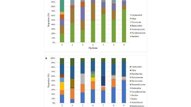 Figura 2. Classificazioni metagenomiche delle composizioni della comunità batterica a livello di phylum (A) e di genere (B) di polvere aerodispersa all'interno di sette allevamenti di suini in base alla proporzione (percentuale di letture di sequenziamento che si allineano o mappano a un phyla e a un genere specifici rispetto al numero totale di legge) dei primi 5 phyla e generi.