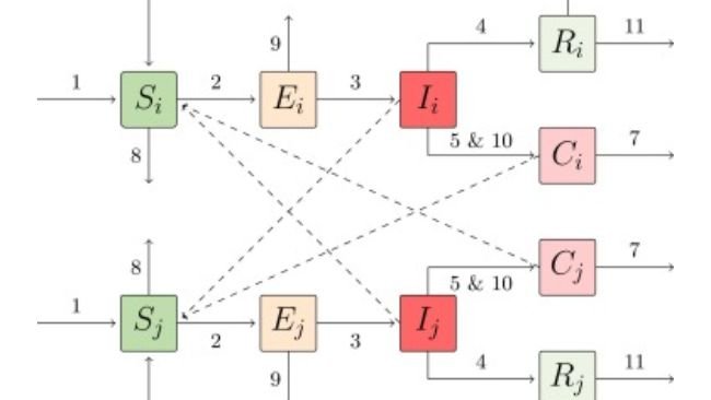 Fig. 3. Struttura del modello sottostante per due gruppi di suini selvatici collegati (i e j). Ciascun gruppo ha cinque classi: suscettibile (S), esposto (E), infetto (I), guarito (R) e carcasse di suini recentemente morti di PSA (C). Le frecce numerate corrispondono agli undici processi descritti nella Tabella 1.