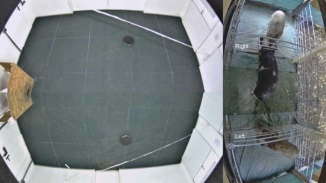 Fig. 1. Immagine della camera di test e le aree contigue esterne