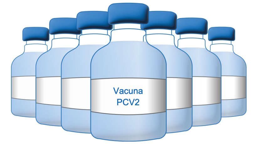 Vacuna PCV2