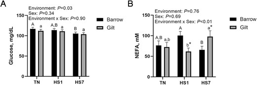 Figura 1. Lo stress da calore (HS) altera i nutrienti circolanti. Sono stati determinati gli effetti dell'HS e del sesso biologico sul glucosio circolante (A) e sugli acidi grassi non esterificati (NEFA) circolanti. I dati sono mostrati come medie minime quadrate ± SEM. Le lettere maiuscole indicano differenze tra i tumuli; le lettere minuscole indicano differenze tra le scrofette (P
