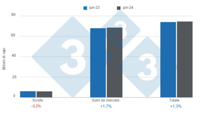 Grafico 1: Inventario dei suini negli Stati Uniti con cut-off al 1° giugno 2024, variazioni annuali. Preparato dal Dipartimento di Economia e Market Intelligence di 333 America Latina con dati USDA - NASS