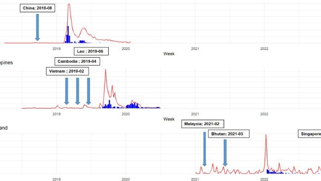 Figura 1. Focolai di peste suina africana (PSA) (mostrati come barre blu) e volume di ricerca di Google Trends per parole chiave selezionate correlate alla PSA (rappresentate da linee rosse) dal 2018 al 2023 in Vietnam, Filippine e Tailandia. Le frecce indicano quando i paesi vicini hanno segnalato per la prima volta la PSA all’Organizzazione mondiale per la salute animale (WOAH). Nel caso del Vietnam e delle Filippine, la tempistica dei picchi nel volume di ricerca di Google (linea rossa) è in linea con i picchi nei casi di epidemia di PSA (barre blu), suggerendo una sincronia tra l’attività di ricerca online e il verificarsi di focolai di PSA sul campo.