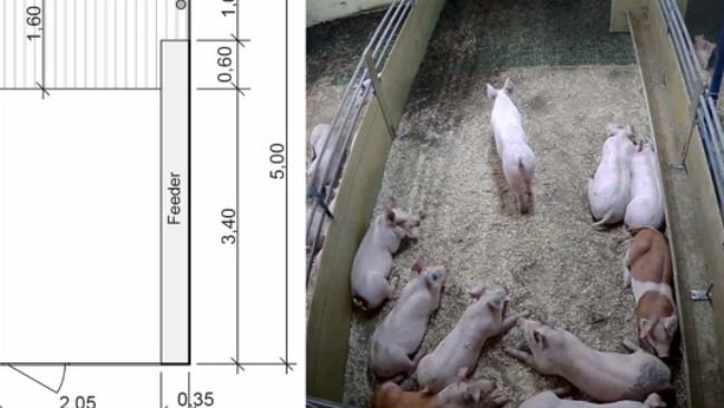 Fig. 1. (a) Progetto di recinto per suini da ingrasso da circa 10 settimane di età alla macellazione, pavimento in cemento continuo per l'area di riposo e pavimento in grigliato, 12 m2 (1,2 m2 per suini) in totale, (b) Istantanea dal video per illustrare la tipologia di box in uso.