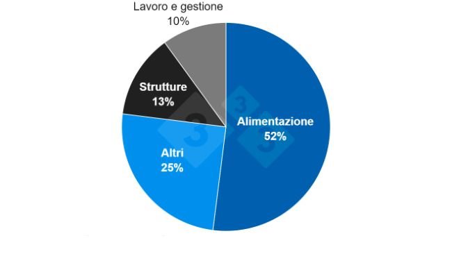 Quota stimata dei costi di produzione negli Stati Uniti. Fonte: NPPC.