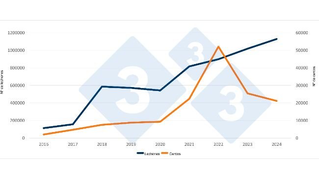 Importazioni spagnole di suinetti e suini olandesi nella prima metà del 2016-2024. Fonte: 333 sulla base dei dati RVO.