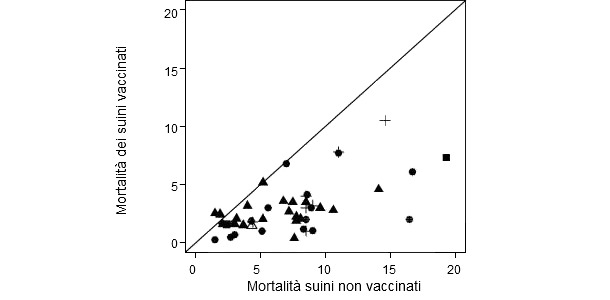 Confronto di mortalità di suini vaccina e non vaccinati
