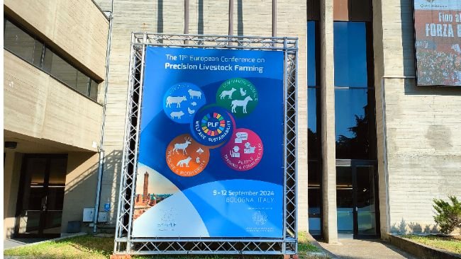 ECPLF 20254 1