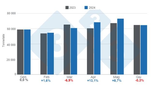 Grafico 1. Produzione mensile di carne suina nel periodo gennaio – giugno, variazioni annuali. Preparato dal Dipartimento di Economia e Market Intelligence di 333 America Latina con i dati del Segretariato dell'Agricoltura, dell'Allevamento e della Pesca del Ministero dell'Economia dell'Argentina.