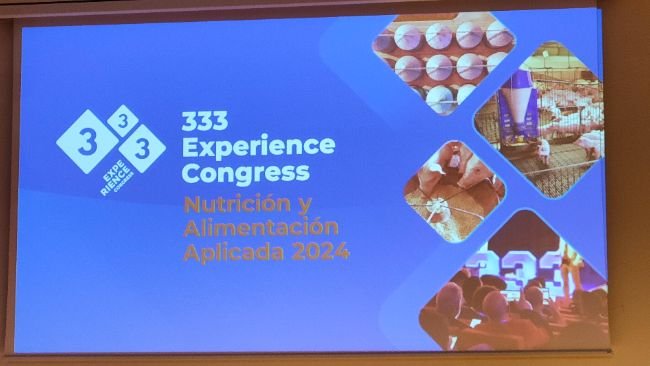 experience 61