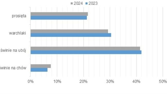 Struttura della popolazione suina in Polonia. Fonte: Ufficio Centrale di Statistica.