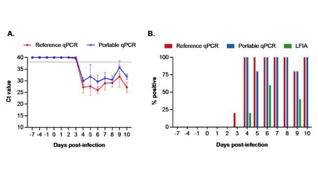 Risultati dei test ottenuti utilizzando campioni di sangue intero. (A) Valori di soglia del ciclo (Ct) ottenuti utilizzando i test qPCR di riferimento e portatili. La linea tratteggiata orizzontale a un valore Ct 38 indica il cutoff del test. I campioni con valori Ct inferiori a questa soglia sono stati considerati positivi. (B) La percentuale di campioni risultati positivi in ogni giorno di campionamento