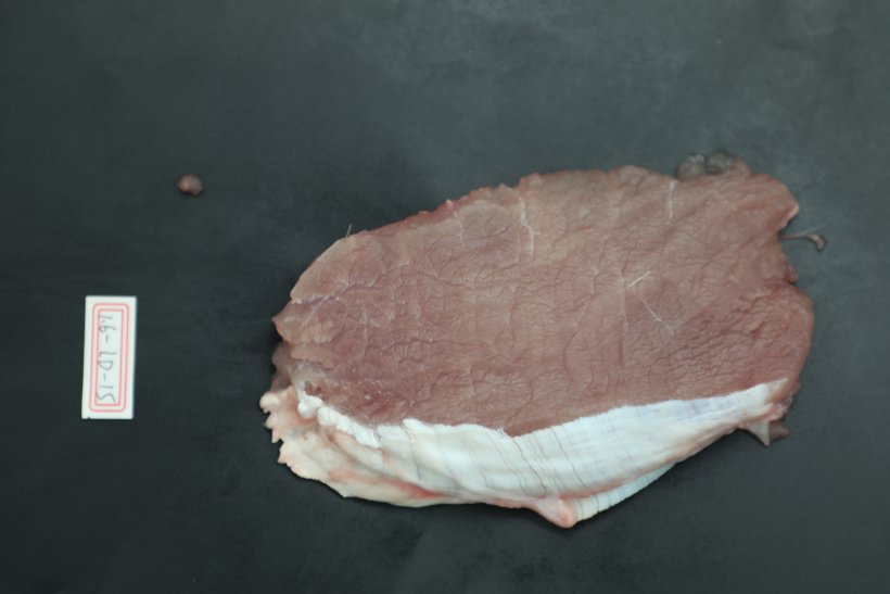 Porzione di carne suina