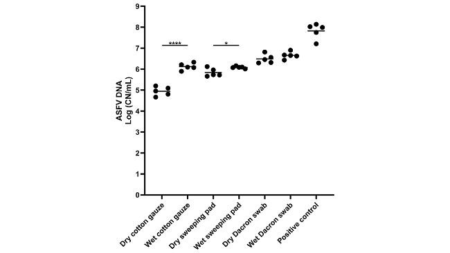 Figura 1. Rilevamento del DNA del virus della peste suina africana (ASFV) in campioni ambientali. Le superfici in acciaio inossidabile sono state inoculate con 100 μL di sangue infetto da ASFV e tamponate utilizzando diversi tipi di dispositivi di campionamento. Il surnatante è stato sottoposto a PCR quantitativa per rilevare il DNA dell'ASFV. Sono stati utilizzati 100 microlitri di sangue per il controllo positivo. La quantità di DNA dell'ASFV (numero di copie per mL) è stata trasformata in logaritmo per l'analisi statistica e la tendenza centrale è stata rappresentata dalla media dei valori trasformati in logaritmo. Le differenze statistiche tra ciascun dispositivo asciutto e bagnato sono state valutate tramite il test t di Student (valore p