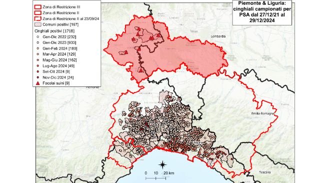 aggiornamento 29 dicembre IZPLV