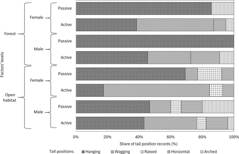 Fig. 3. Quota di una posizione di coda a una data combinazione di livelli di fattori utilizzati nel test z (ambiente, sesso, attività).