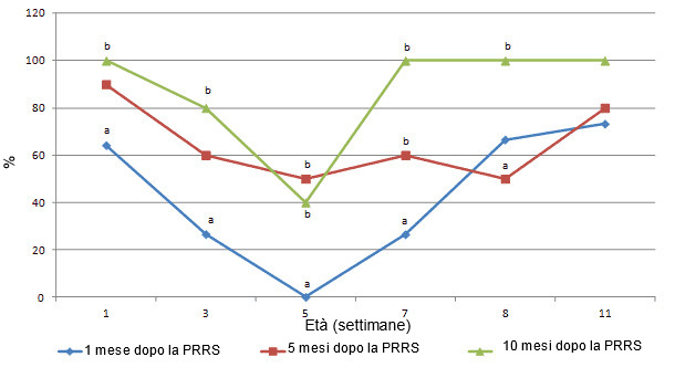 Sieroconversione al PCV2