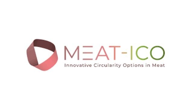 meat ico