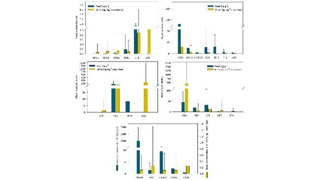 Fig. 2. Concentrazioni totali medie di micotossine riscontrate nei campioni di mangimi e di urina con barre di errore dei valori di deviazione standard.