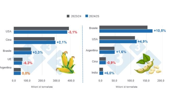 Grafico 1: Proiezione del raccolto per i principali produttori mondiali di mais e soia - campagna 2024/25 rispetto al ciclo 2023/24 - ultimo aggiornamento: 11 febbraio 2025. Preparato dal Dipartimento di Economia e Sostenibilità di 333 America Latina con dati FAS - USDA
